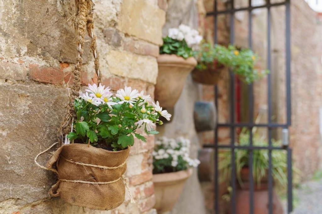 Corte Paolina - Charming Courtyard Inside Lucca Esterno foto