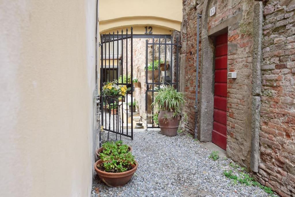 Corte Paolina - Charming Courtyard Inside Lucca Esterno foto