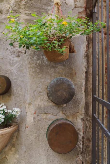 Corte Paolina - Charming Courtyard Inside Lucca Esterno foto